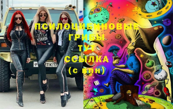 ECSTASY Зеленокумск