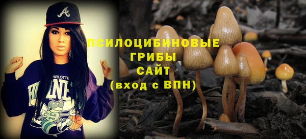ECSTASY Зеленокумск