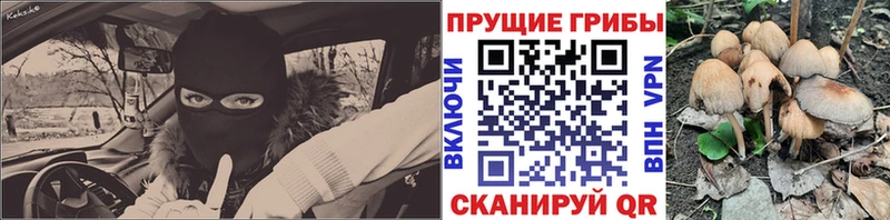 Купить где  Воскресенск  Галлюциногенные грибы ЛСД 